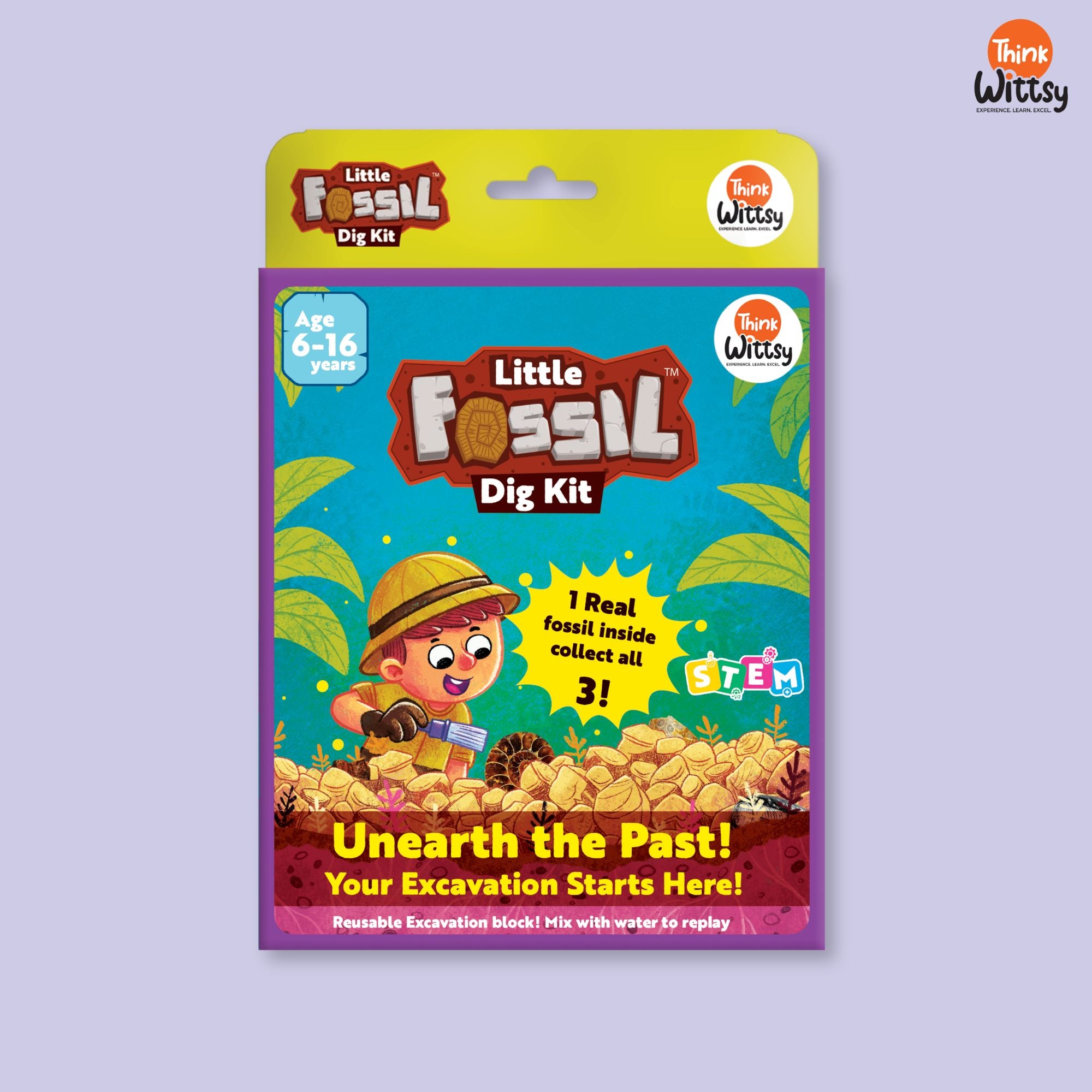 Little Fossil Dig kit