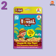 Little Fossil Dig kit