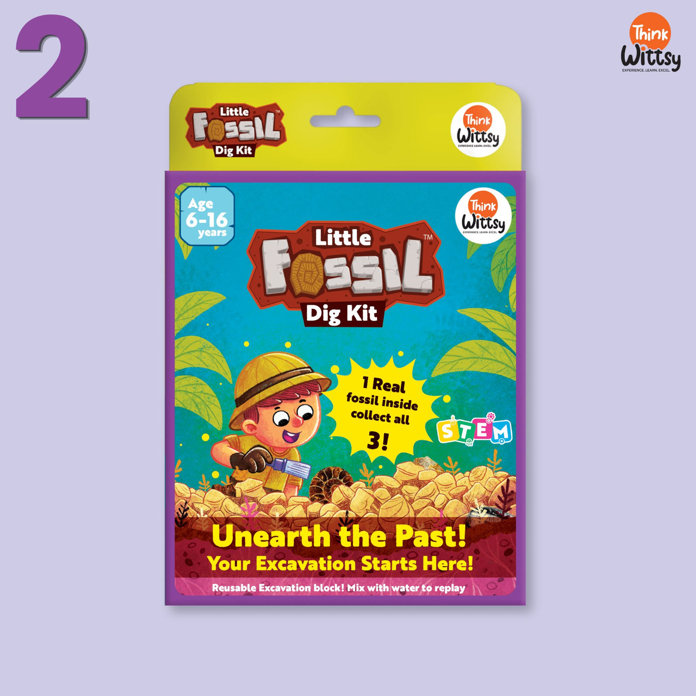 Little Fossil Dig kit