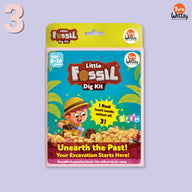 Little Fossil Dig kit