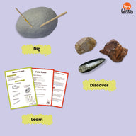 Little Fossil Dig kit