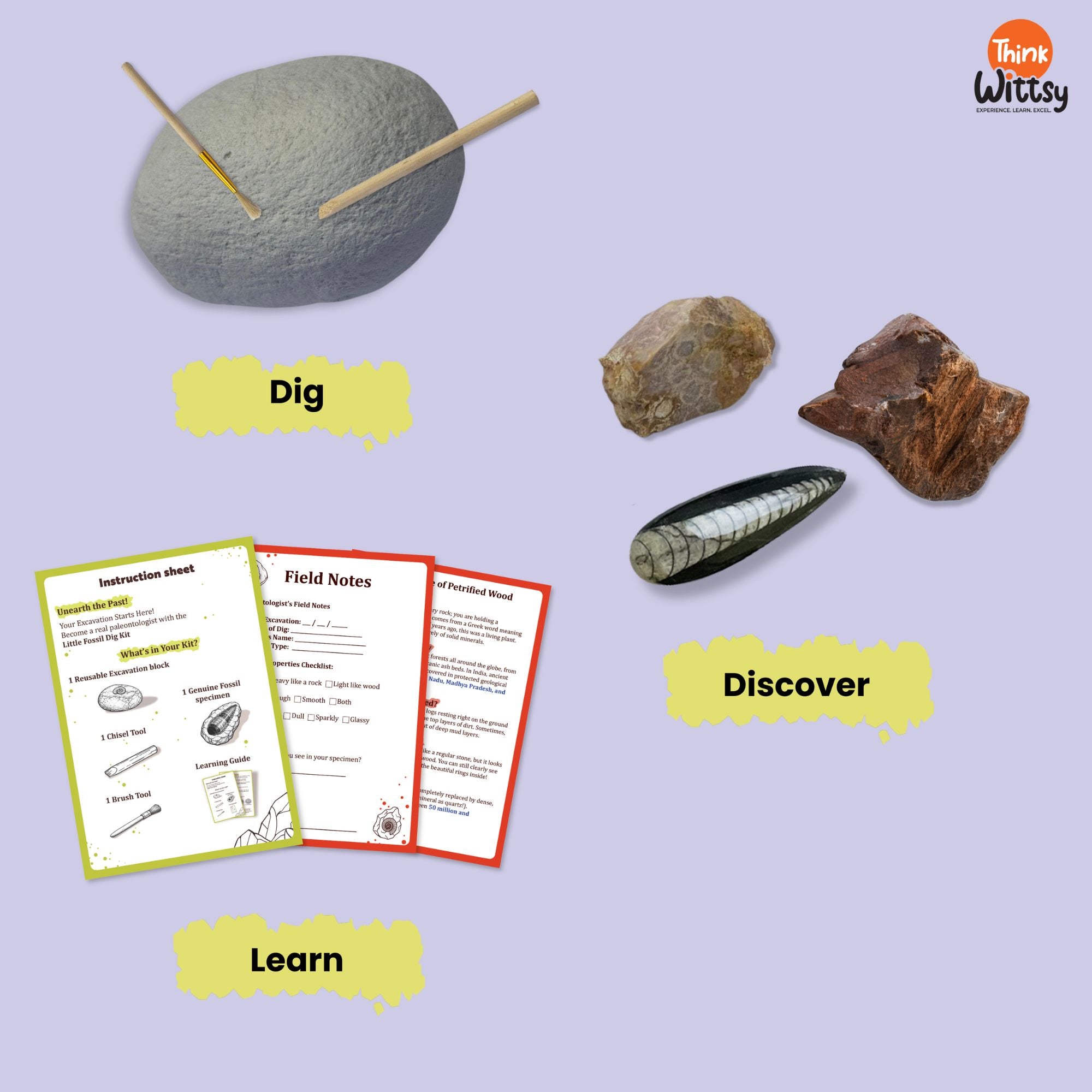 Little Fossil Dig kit