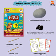 Little Fossil Dig kit